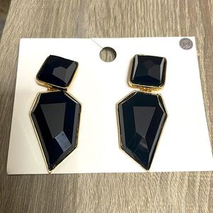 Black Fashion Earrings